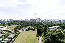 Normanton Park (D5), Apartment #549121051